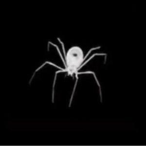 Meet your Posher, Alanna